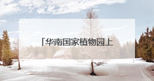 华南国家植物园上演“多肉界玫瑰传奇”，从呆萌树干到炸裂种子全是戏！