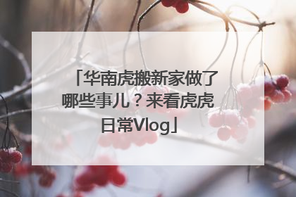 华南虎搬新家做了哪些事儿？来看虎虎日常Vlog