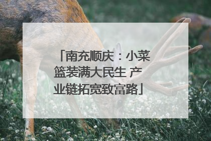 南充顺庆：小菜篮装满大民生 产业链拓宽致富路