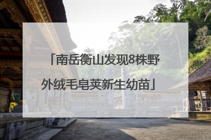 南岳衡山发现8株野外绒毛皂荚新生幼苗