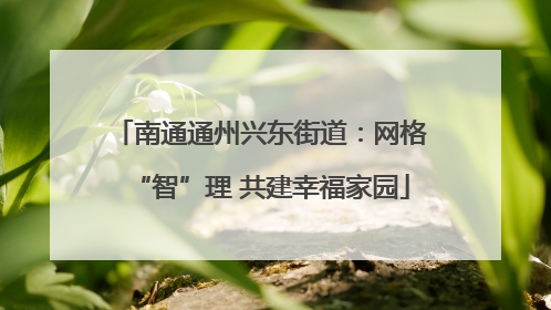 南通通州兴东街道：网格“智”理 共建幸福家园
