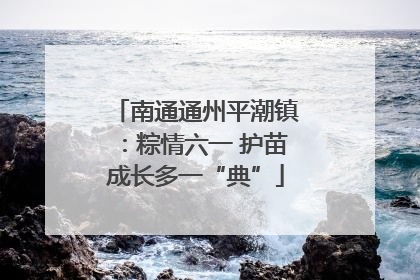 南通通州平潮镇：粽情六一 护苗成长多一“典”
