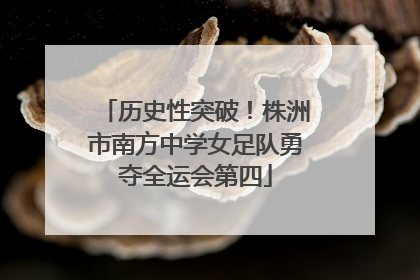 历史性突破！株洲市南方中学女足队勇夺全运会第四