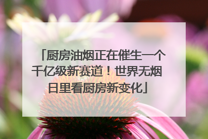 厨房油烟正在催生一个千亿级新赛道！世界无烟日里看厨房新变化