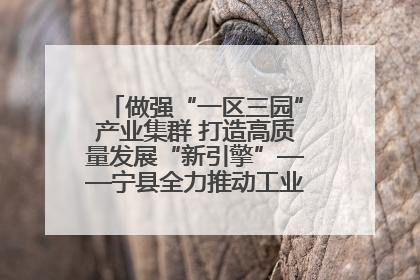 做强“一区三园”产业集群 打造高质量发展“新引擎”——宁县全力推动工业经济提质增效