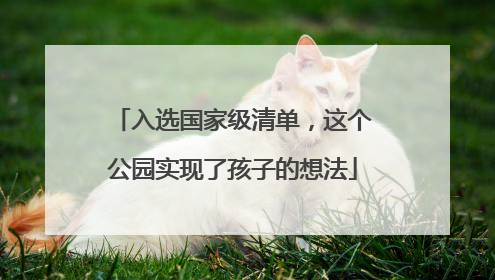 入选国家级清单，这个公园实现了孩子的想法
