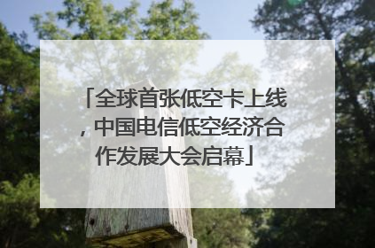 全球首张低空卡上线，中国电信低空经济合作发展大会启幕