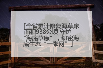 全省累计修复海草床面积938公顷 守护“海底草原”，织密海底生态“一张网”