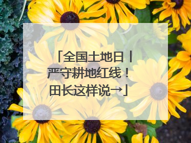 全国土地日丨严守耕地红线！田长这样说→