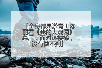 全身都是淤青！陈丽君《我的大观园》幕后：面对滚楼梯，没有做不到