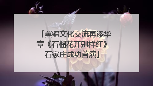 冀疆文化交流再添华章《石榴花开别样红》石家庄成功首演