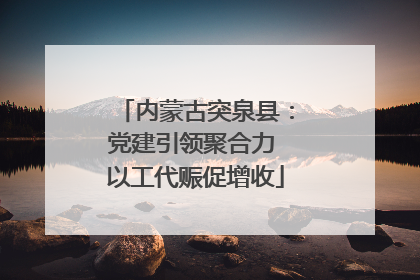 内蒙古突泉县：党建引领聚合力 以工代赈促增收