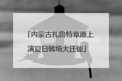 内蒙古扎鲁特草原上演夏日转场大迁徙