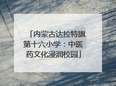 内蒙古达拉特旗第十六小学：中医药文化浸润校园