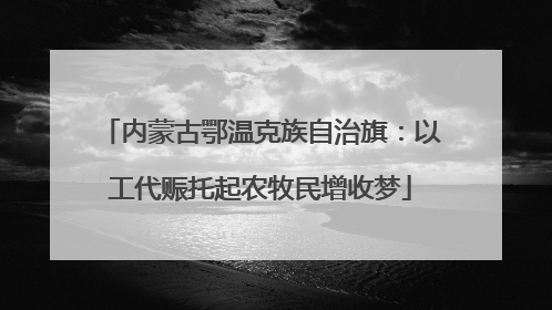 内蒙古鄂温克族自治旗：以工代赈托起农牧民增收梦