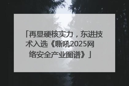 再显硬核实力，东进技术入选《嘶吼2025网络安全产业图谱》