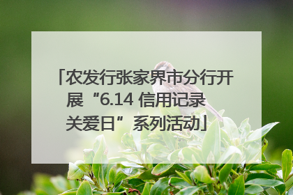 农发行张家界市分行开展“6.14 信用记录关爱日”系列活动