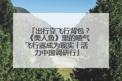 出行靠飞行背包？《美人鱼》里的喷气飞行器成为现实丨活力中国调研行
