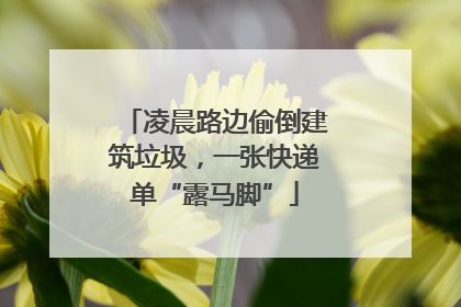 凌晨路边偷倒建筑垃圾，一张快递单“露马脚”