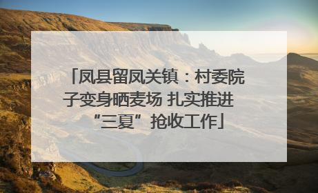 凤县留凤关镇：村委院子变身晒麦场 扎实推进“三夏”抢收工作