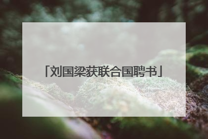 刘国梁获联合国聘书