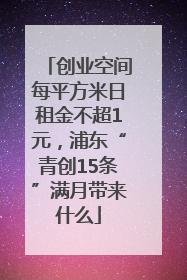 创业空间每平方米日租金不超1元，浦东“青创15条”满月带来什么