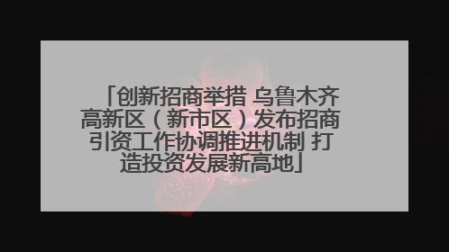 创新招商举措 乌鲁木齐高新区（新市区）发布招商引资工作协调推进机制 打造投资发展新高地