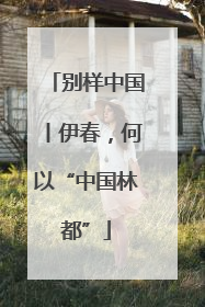 别样中国丨伊春，何以“中国林都”