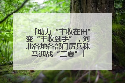 助力“丰收在田”变“丰收到手”，河北各地各部门厉兵秣马迎战“三夏”
