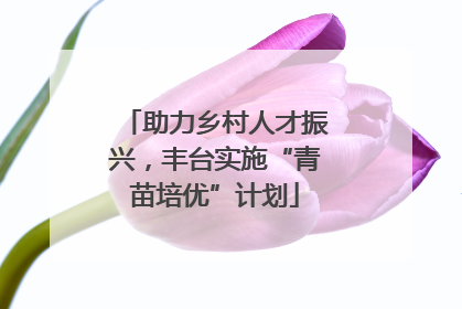 助力乡村人才振兴，丰台实施“青苗培优”计划
