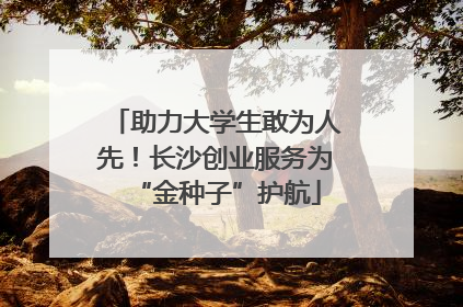 助力大学生敢为人先！长沙创业服务为“金种子”护航