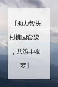 助力帮扶村桃园套袋，共筑丰收梦