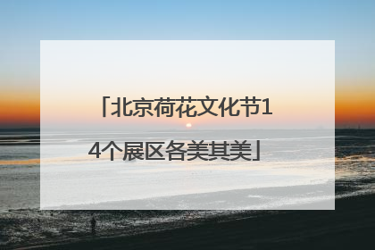 北京荷花文化节14个展区各美其美