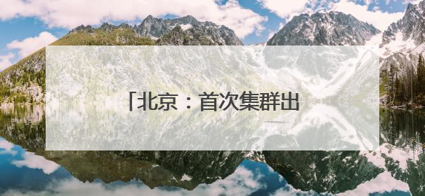 北京：首次集群出现，世界极危物种黄胸鹀到访野鸭湖