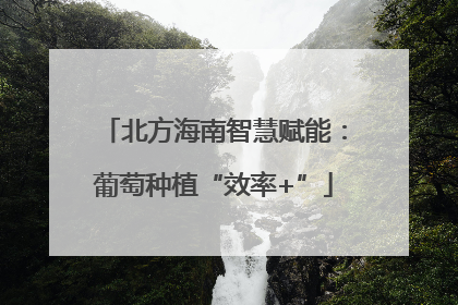 北方海南智慧赋能：葡萄种植“效率+”