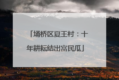 埇桥区夏王村：十年耕耘结出富民瓜