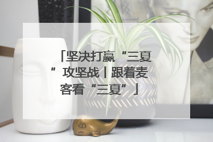 坚决打赢“三夏”攻坚战丨跟着麦客看“三夏”
