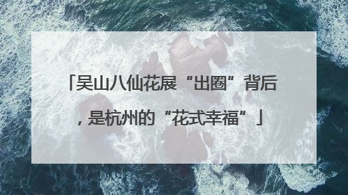 吴山八仙花展“出圈”背后，是杭州的“花式幸福”
