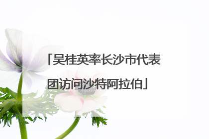 吴桂英率长沙市代表团访问沙特阿拉伯