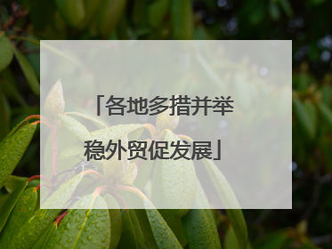 各地多措并举稳外贸促发展