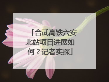 合武高铁六安北站项目进展如何？记者实探