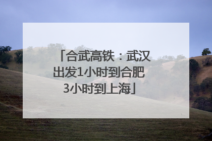 合武高铁：武汉出发1小时到合肥3小时到上海