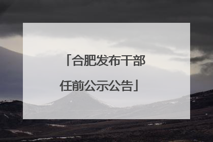 合肥发布干部任前公示公告
