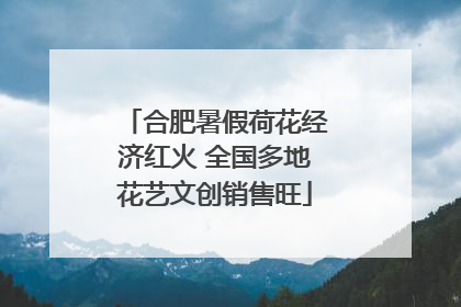 合肥暑假荷花经济红火 全国多地花艺文创销售旺