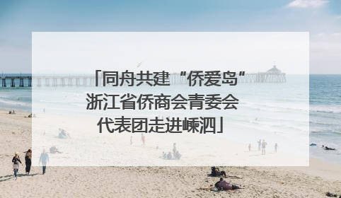 同舟共建“侨爱岛” 浙江省侨商会青委会代表团走进嵊泗