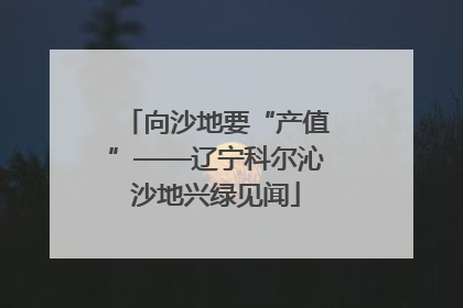 向沙地要“产值”——辽宁科尔沁沙地兴绿见闻