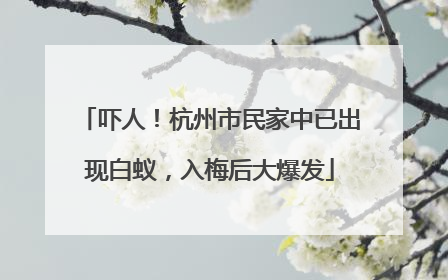 吓人！杭州市民家中已出现白蚁，入梅后大爆发
