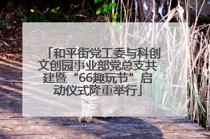 和平街党工委与科创文创园事业部党总支共建暨“66趣玩节”启动仪式隆重举行