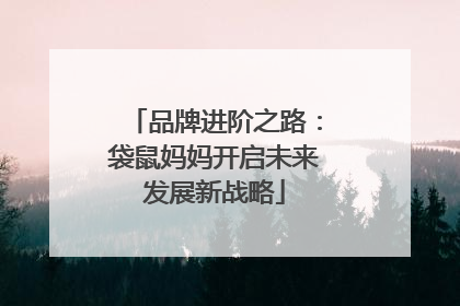 品牌进阶之路：袋鼠妈妈开启未来发展新战略