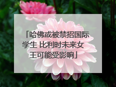 哈佛或被禁招国际学生 比利时未来女王可能受影响